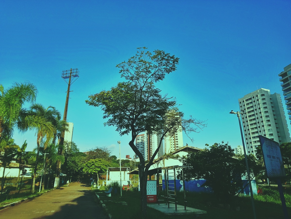 PARQUE CERET [JARDIM ANÁLIA FRANCO