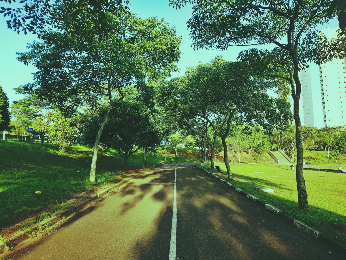 PARQUE CERET [JARDIM ANÁLIA FRANCO