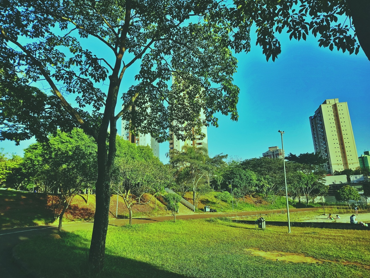 PARQUE CERET [JARDIM ANÁLIA FRANCO
