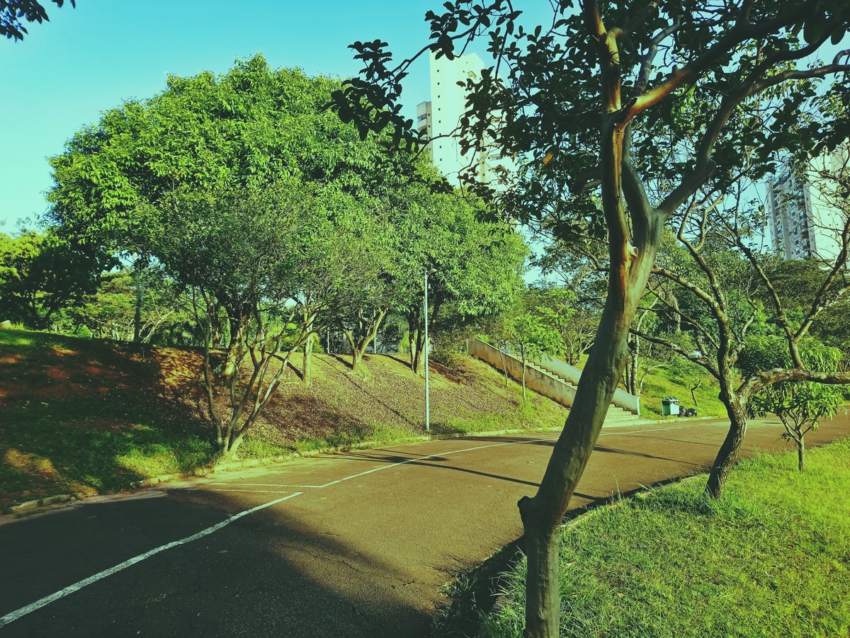 PARQUE CERET [JARDIM ANÁLIA FRANCO