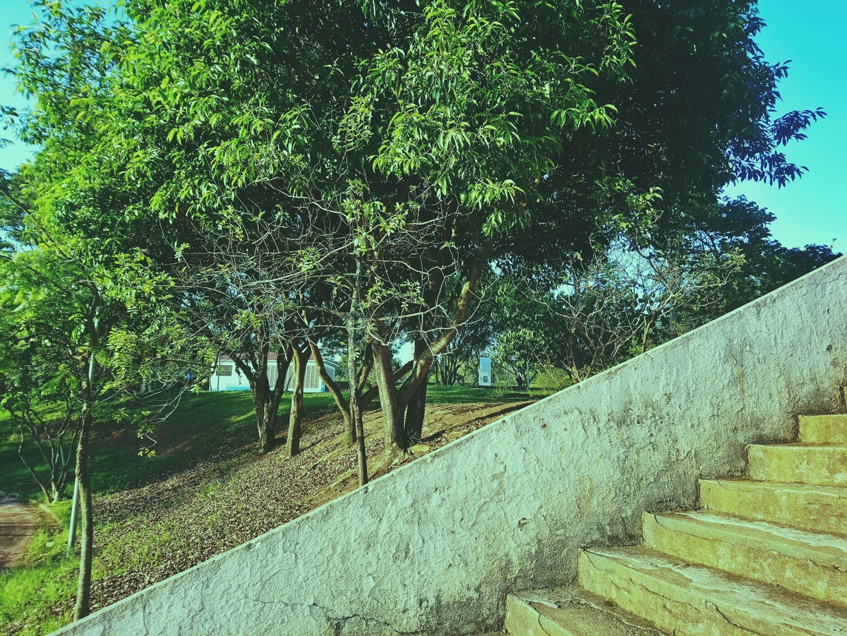 PARQUE CERET [JARDIM ANÁLIA FRANCO