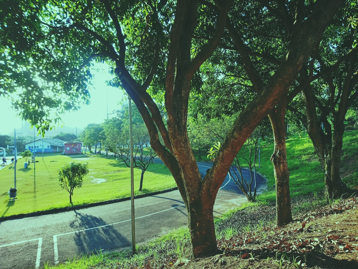 PARQUE CERET [JARDIM ANÁLIA FRANCO