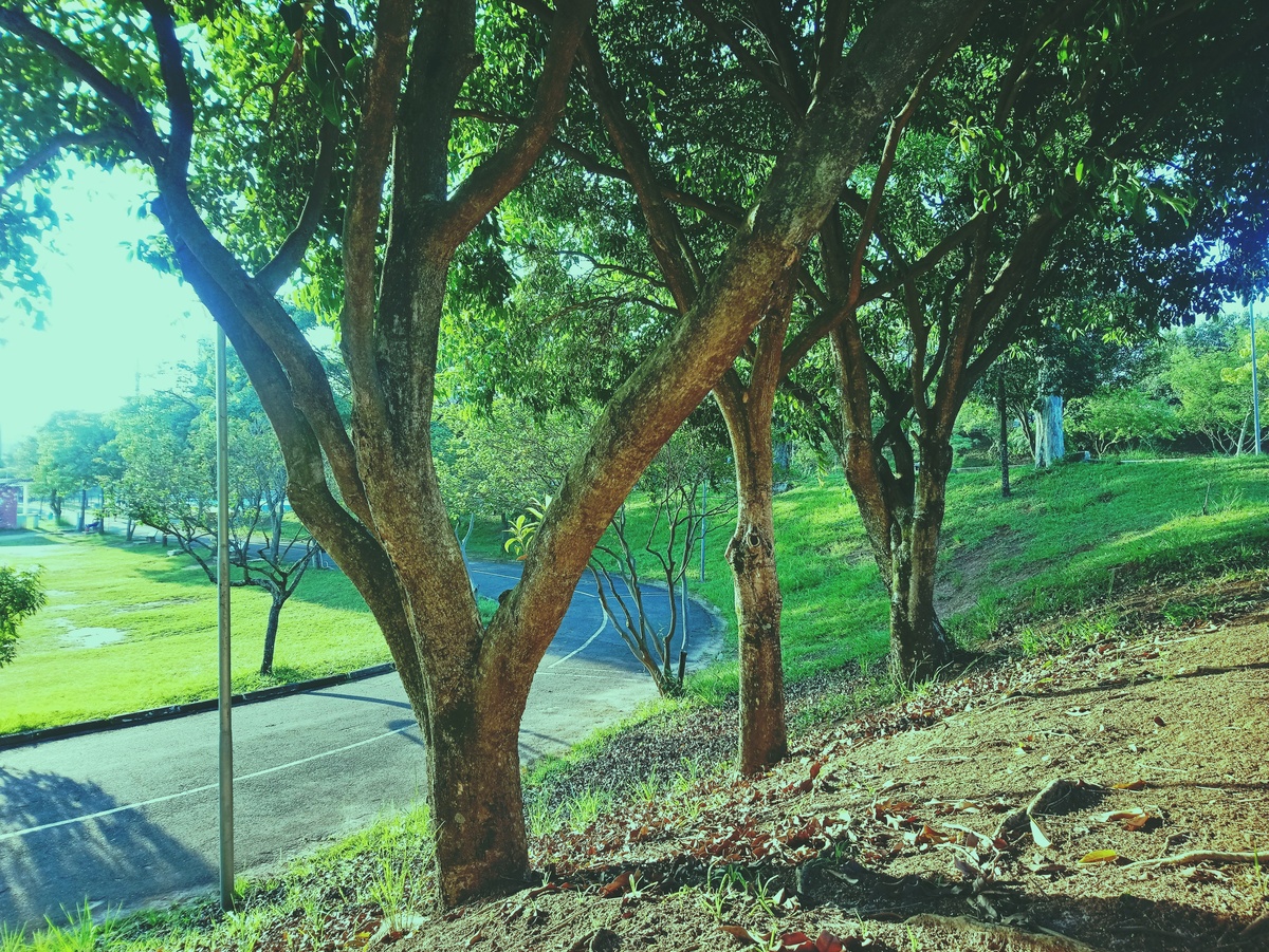 PARQUE CERET [JARDIM ANÁLIA FRANCO