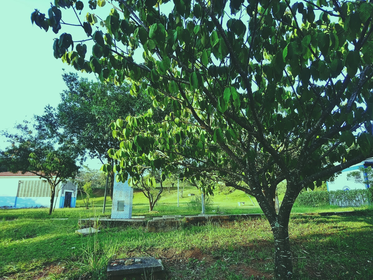 PARQUE CERET [JARDIM ANÁLIA FRANCO