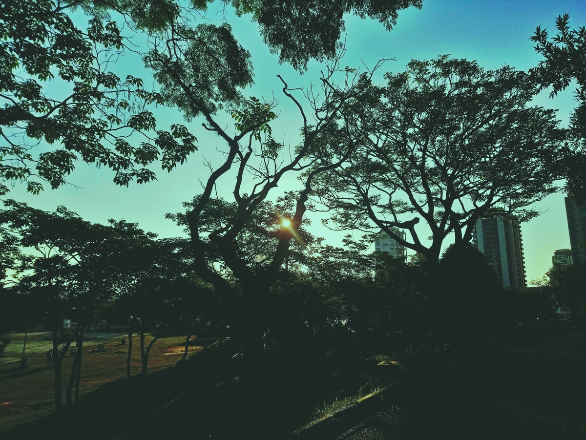 PARQUE CERET [JARDIM ANÁLIA FRANCO