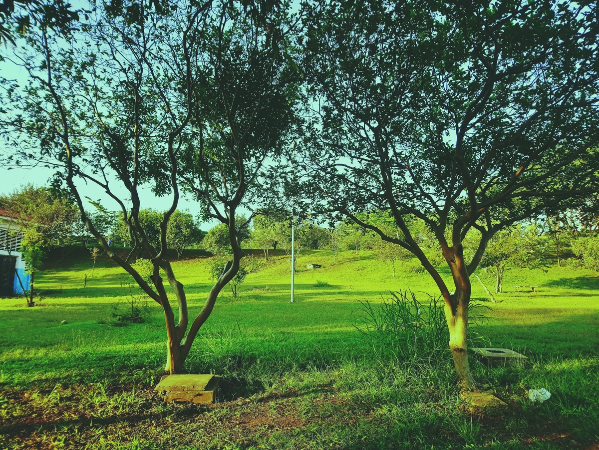 PARQUE CERET [JARDIM ANÁLIA FRANCO