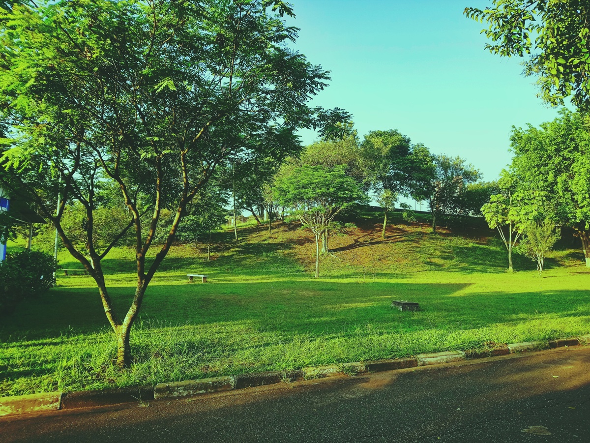 PARQUE CERET [JARDIM ANÁLIA FRANCO
