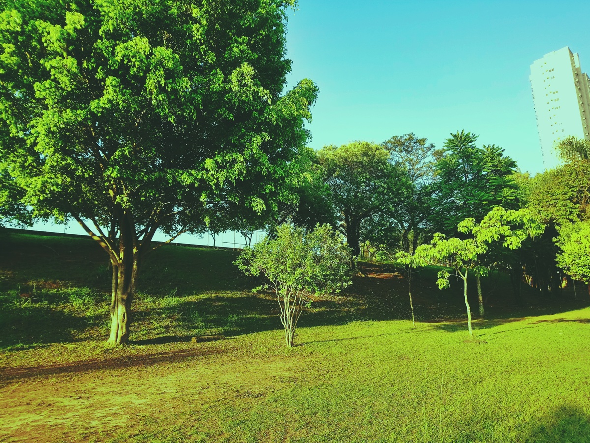 PARQUE CERET [JARDIM ANÁLIA FRANCO
