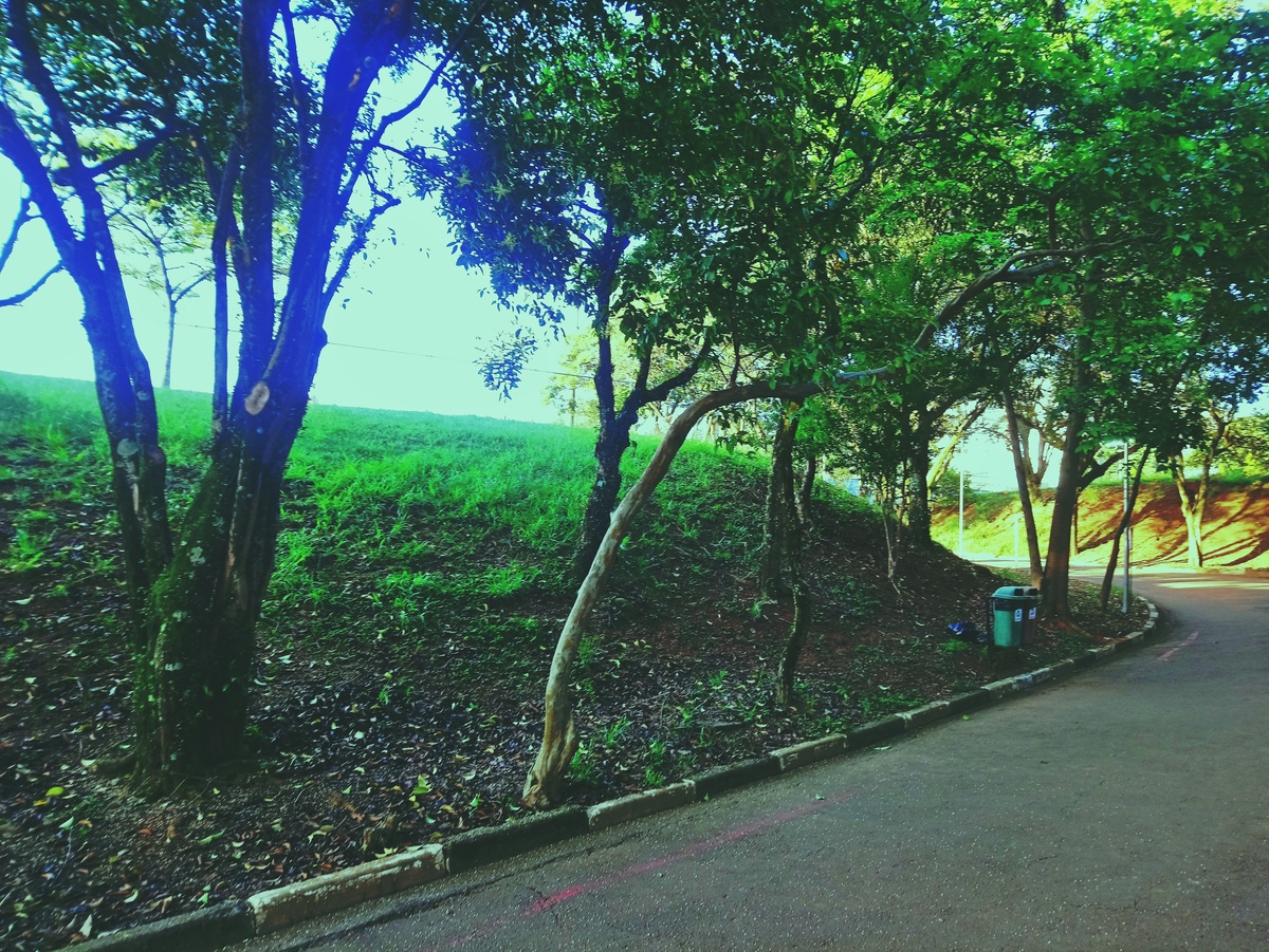 PARQUE CERET [JARDIM ANÁLIA FRANCO