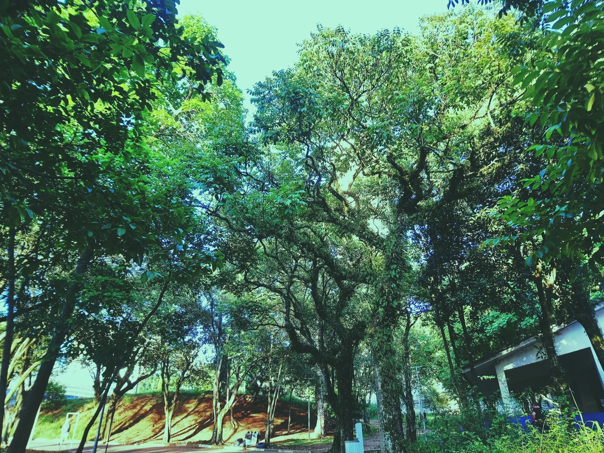 PARQUE CERET [JARDIM ANÁLIA FRANCO