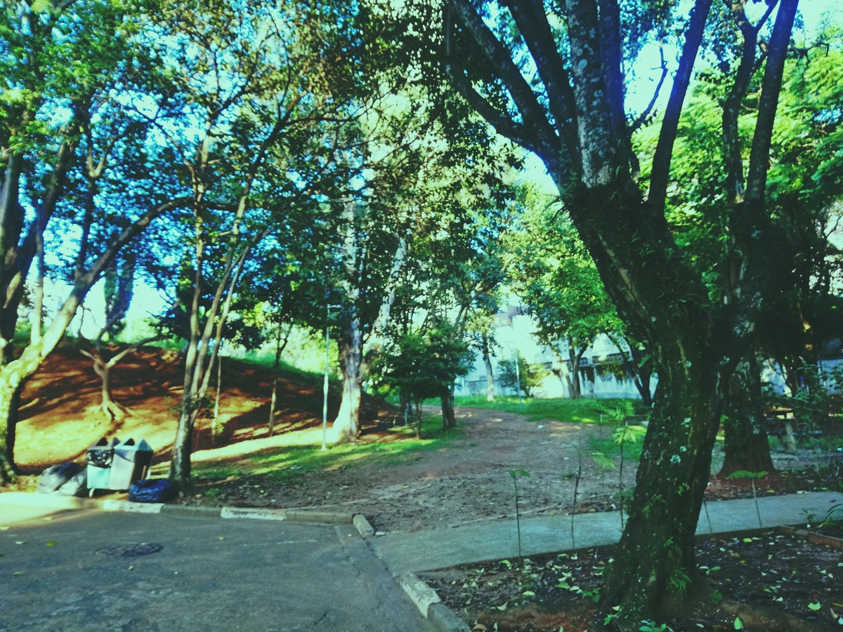 PARQUE CERET [JARDIM ANÁLIA FRANCO