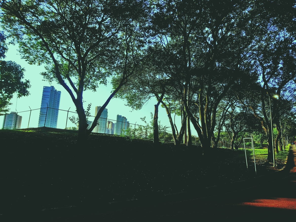 PARQUE CERET [JARDIM ANÁLIA FRANCO