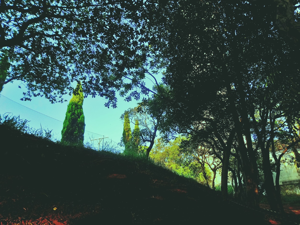 PARQUE CERET [JARDIM ANÁLIA FRANCO