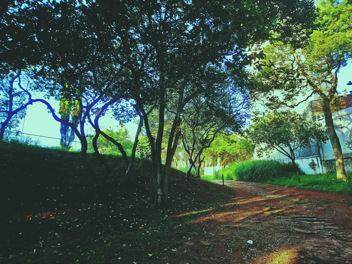 PARQUE CERET [JARDIM ANÁLIA FRANCO