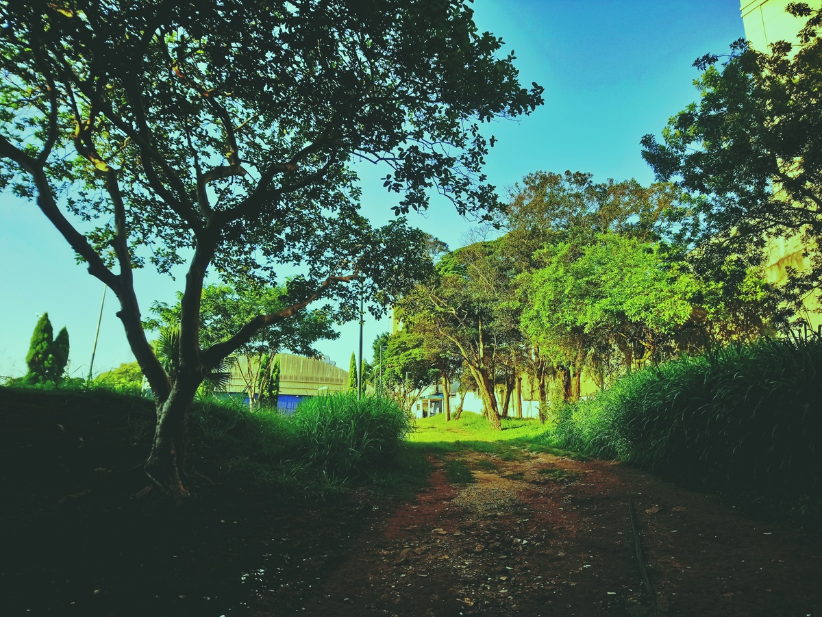 PARQUE CERET [JARDIM ANÁLIA FRANCO