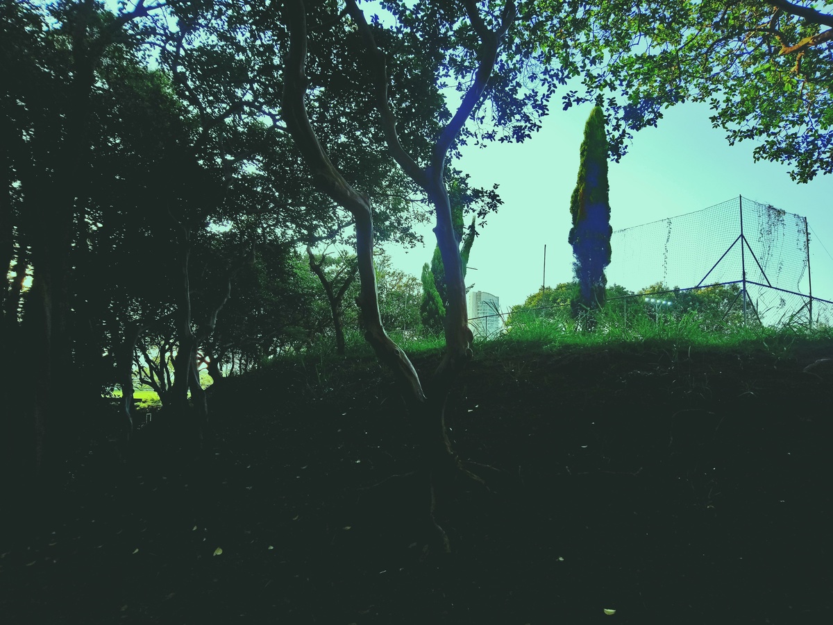 PARQUE CERET [JARDIM ANÁLIA FRANCO