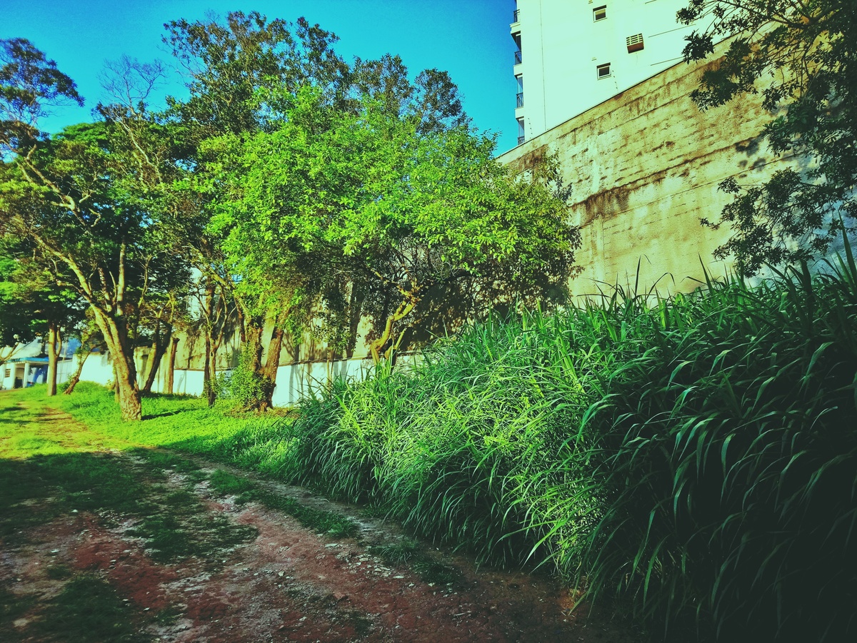 PARQUE CERET [JARDIM ANÁLIA FRANCO