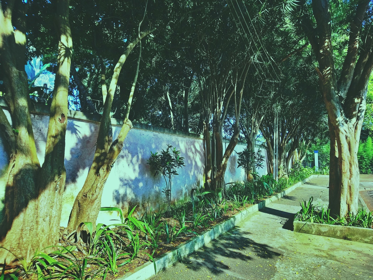 PARQUE CERET [JARDIM ANÁLIA FRANCO