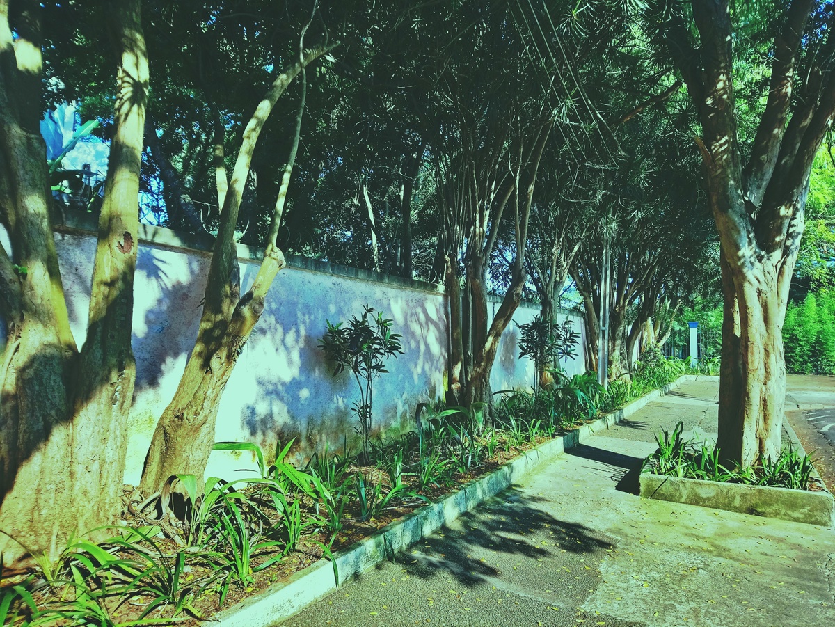 PARQUE CERET [JARDIM ANÁLIA FRANCO