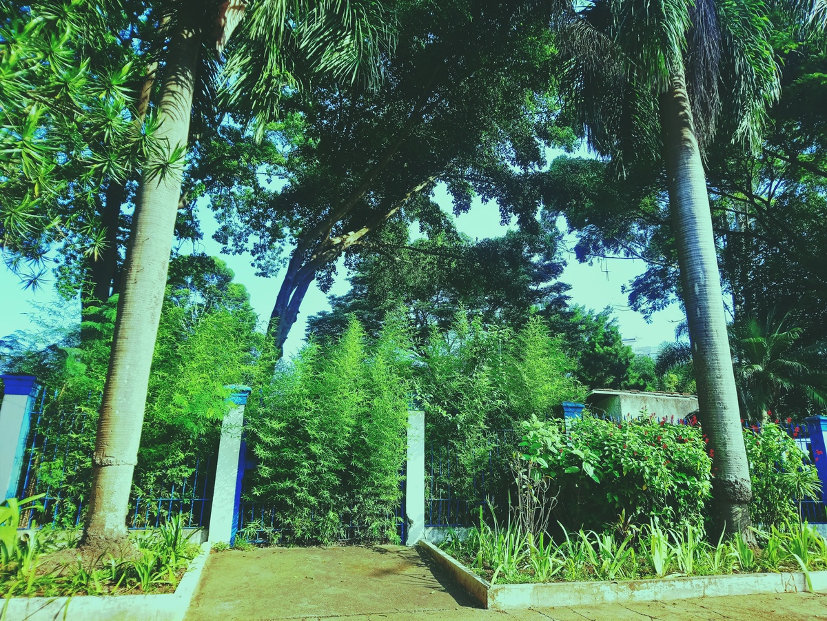 PARQUE CERET [JARDIM ANÁLIA FRANCO