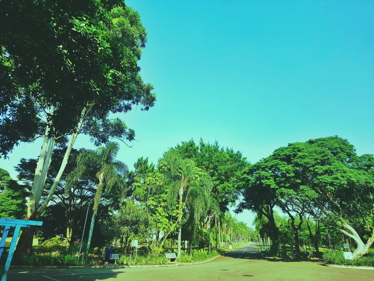 PARQUE CERET [JARDIM ANÁLIA FRANCO