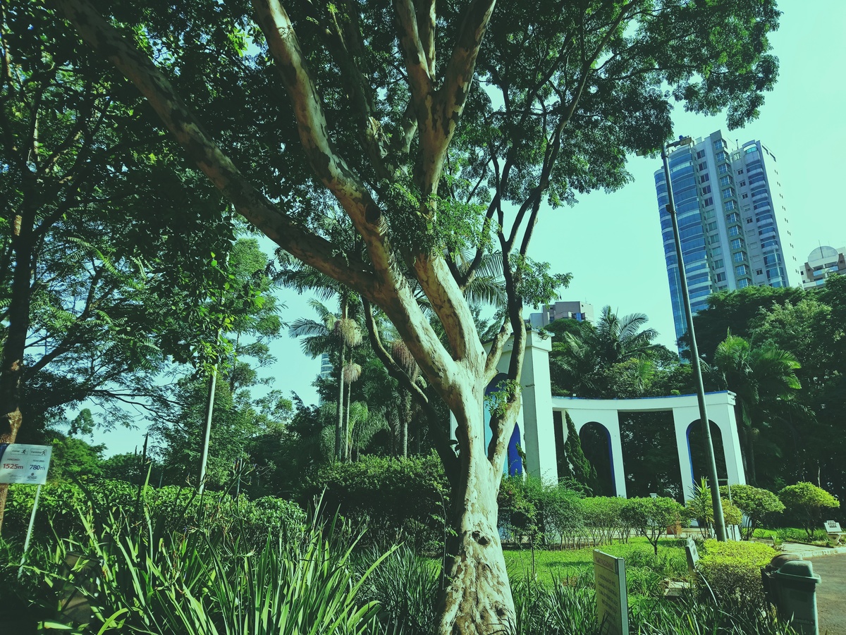 PARQUE CERET [JARDIM ANÁLIA FRANCO