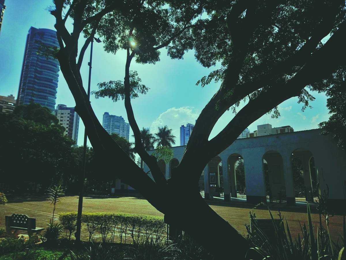 PARQUE CERET [JARDIM ANÁLIA FRANCO