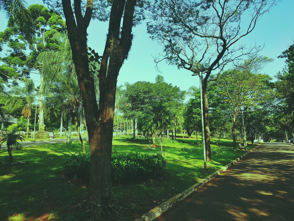 PARQUE CERET [JARDIM ANÁLIA FRANCO