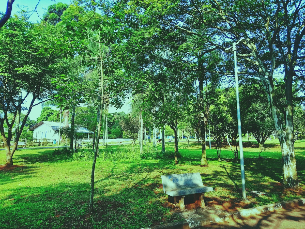PARQUE CERET [JARDIM ANÁLIA FRANCO