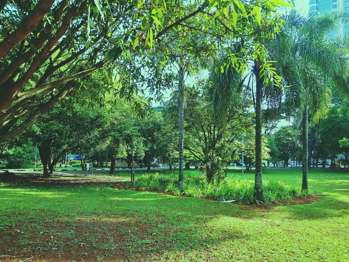 PARQUE CERET [JARDIM ANÁLIA FRANCO