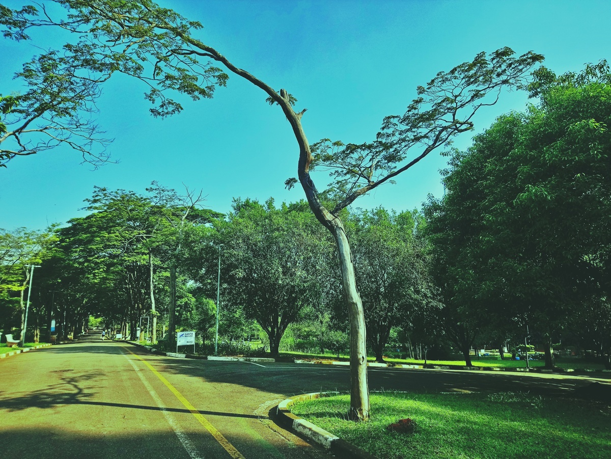 PARQUE CERET [JARDIM ANÁLIA FRANCO