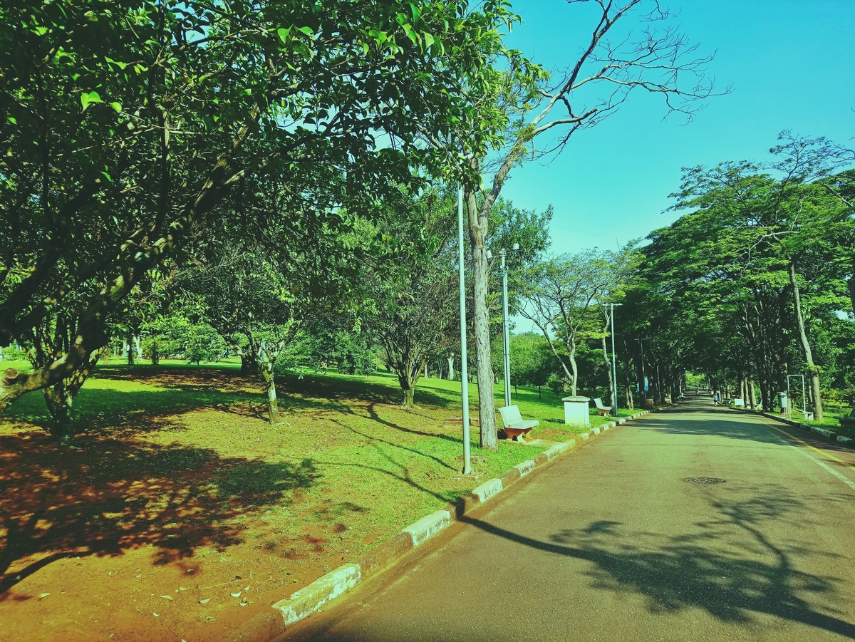 PARQUE CERET [JARDIM ANÁLIA FRANCO
