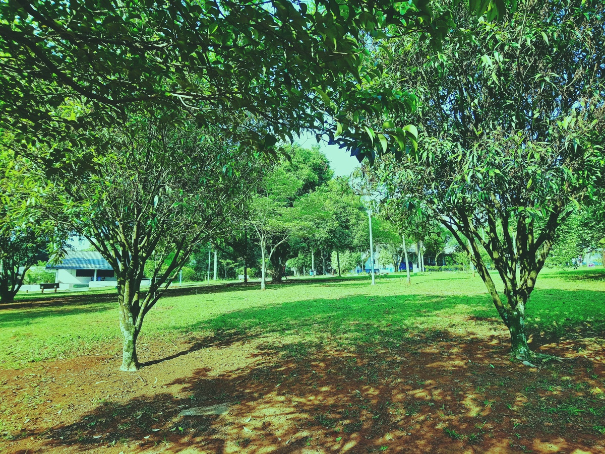 PARQUE CERET [JARDIM ANÁLIA FRANCO