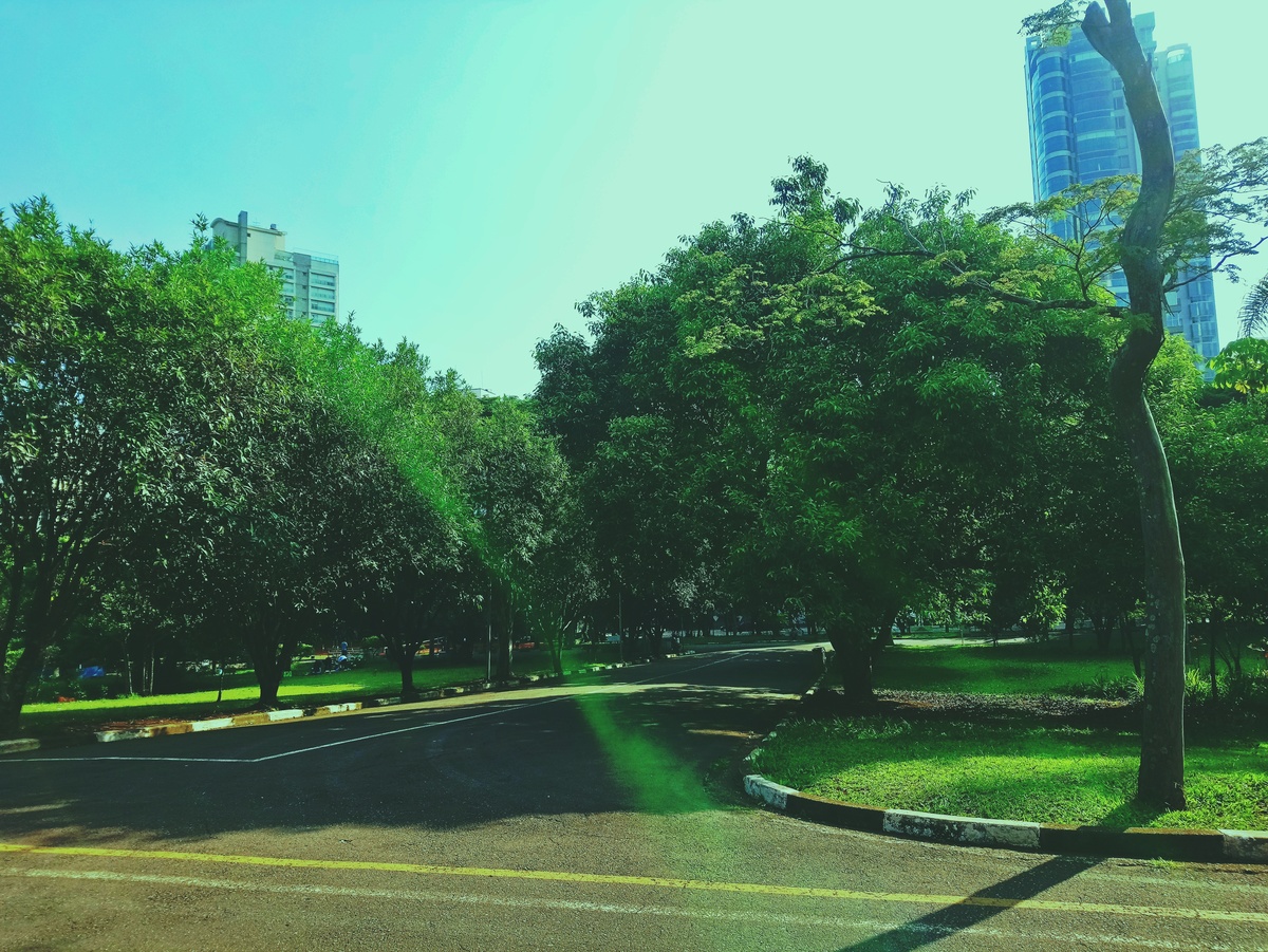 PARQUE CERET [JARDIM ANÁLIA FRANCO