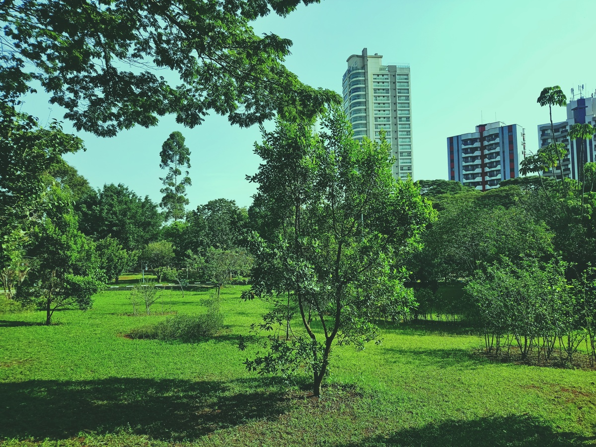 PARQUE CERET [JARDIM ANÁLIA FRANCO