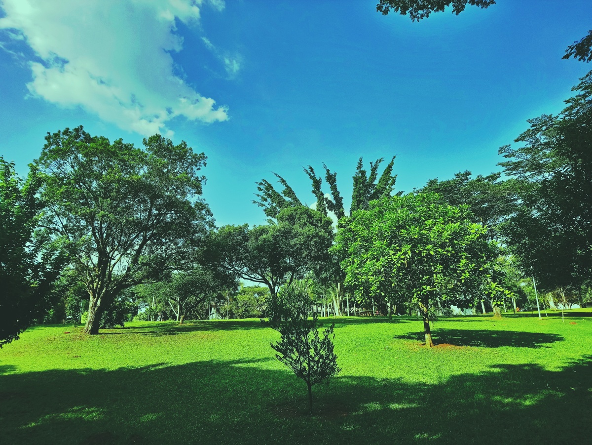 PARQUE CERET [JARDIM ANÁLIA FRANCO