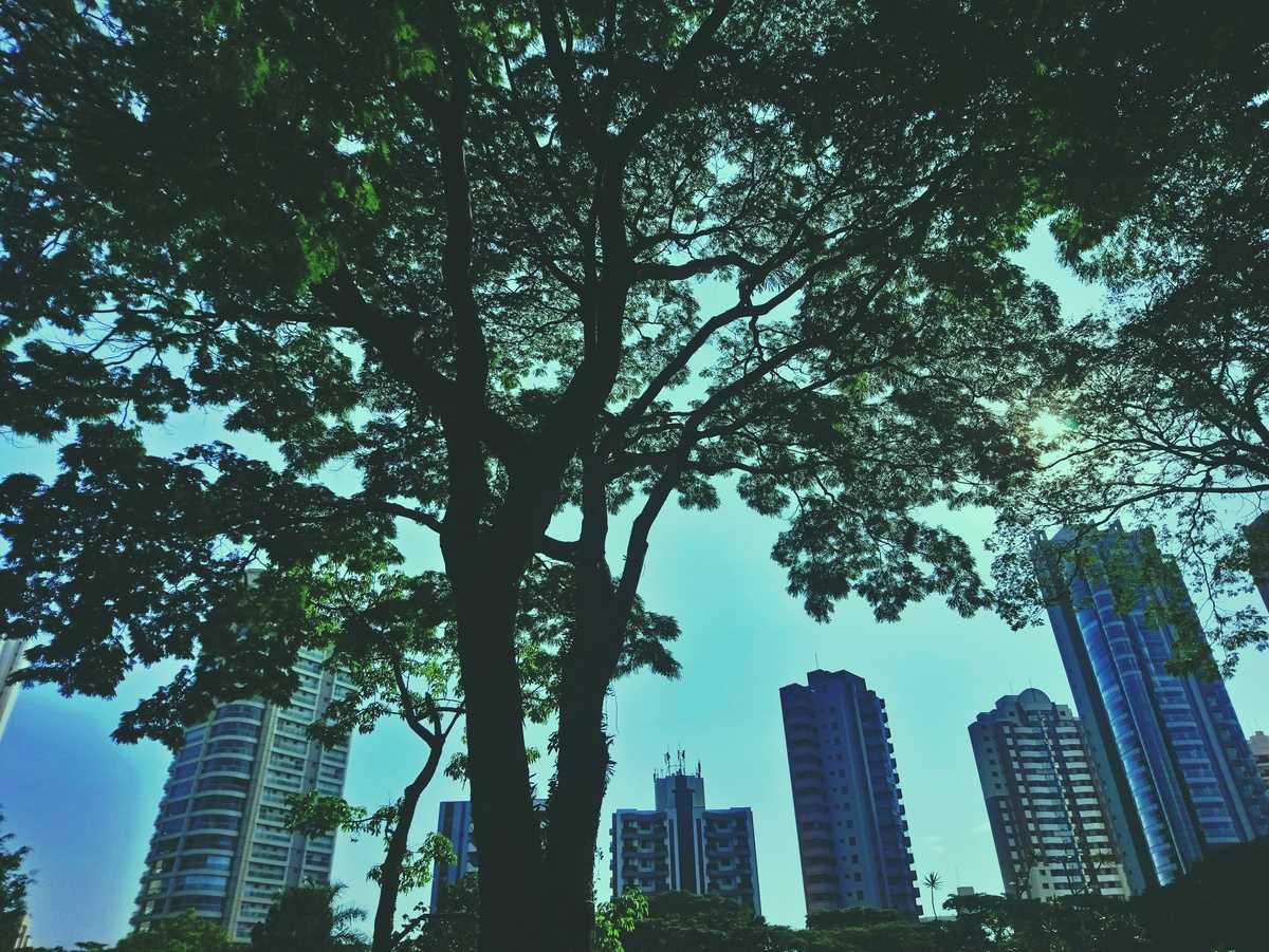 PARQUE CERET [JARDIM ANÁLIA FRANCO