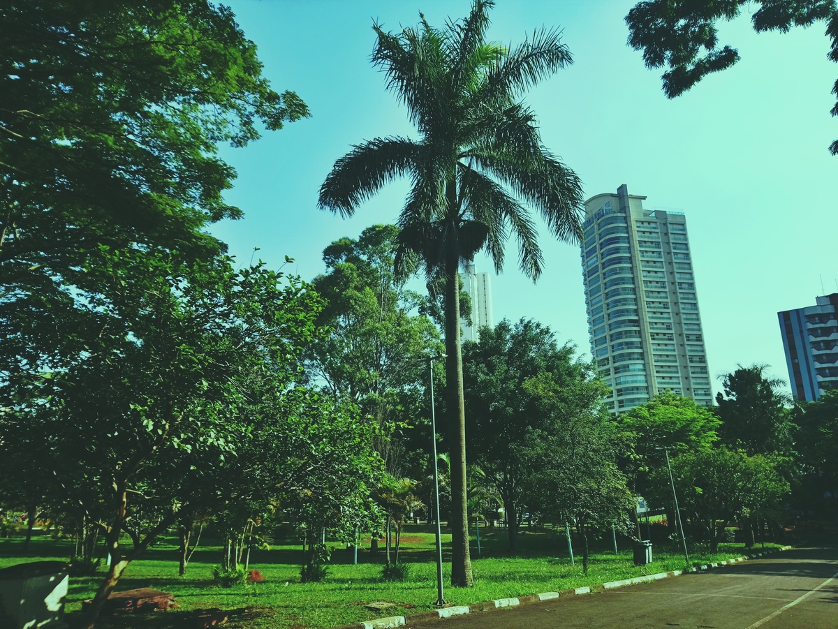 PARQUE CERET [JARDIM ANÁLIA FRANCO
