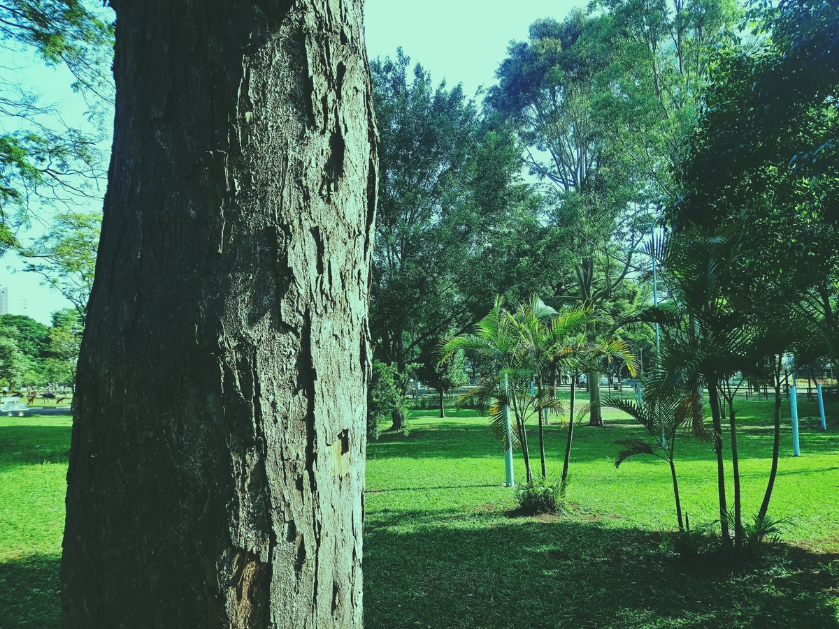 PARQUE CERET [JARDIM ANÁLIA FRANCO