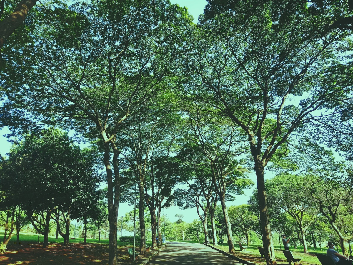 PARQUE CERET [JARDIM ANÁLIA FRANCO