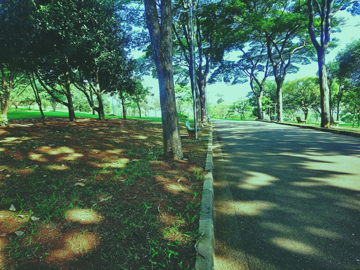 PARQUE CERET [JARDIM ANÁLIA FRANCO