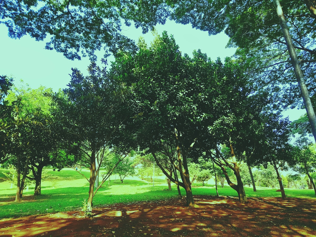 PARQUE CERET [JARDIM ANÁLIA FRANCO