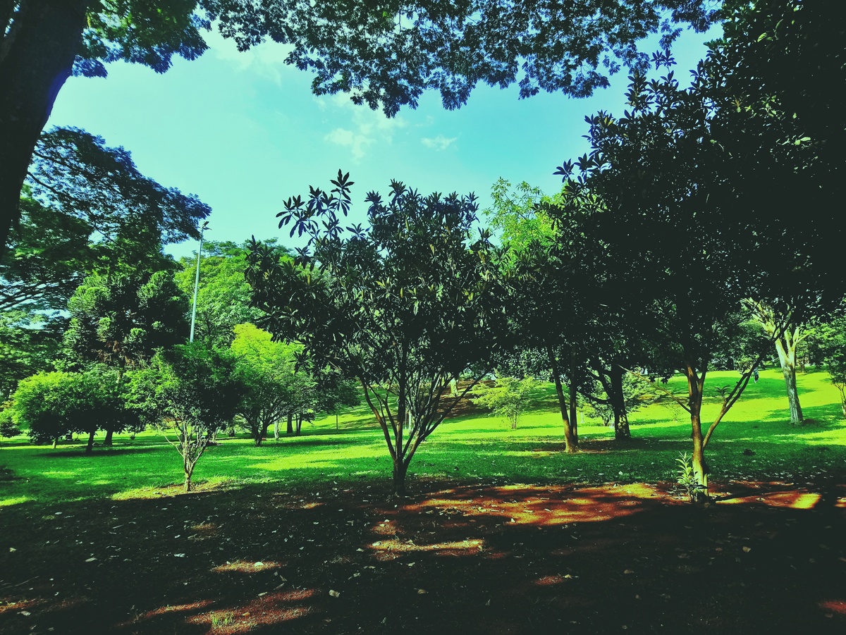 PARQUE CERET [JARDIM ANÁLIA FRANCO