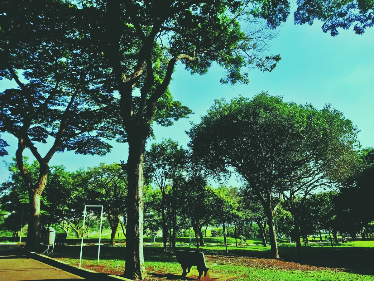 PARQUE CERET [JARDIM ANÁLIA FRANCO