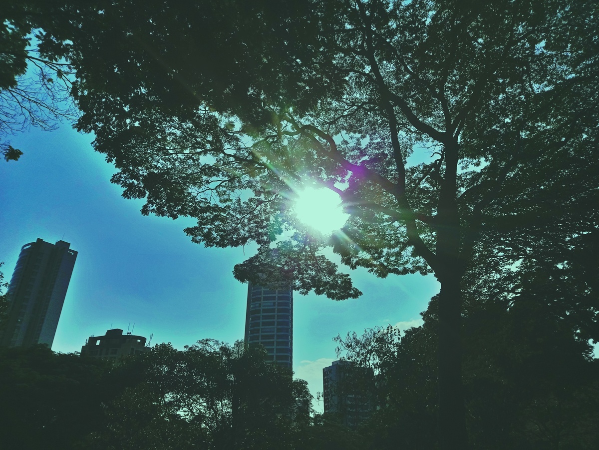 PARQUE CERET [JARDIM ANÁLIA FRANCO