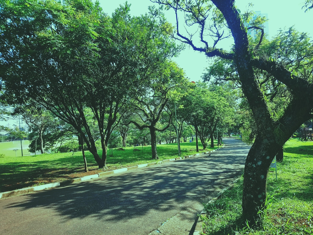 PARQUE CERET [JARDIM ANÁLIA FRANCO