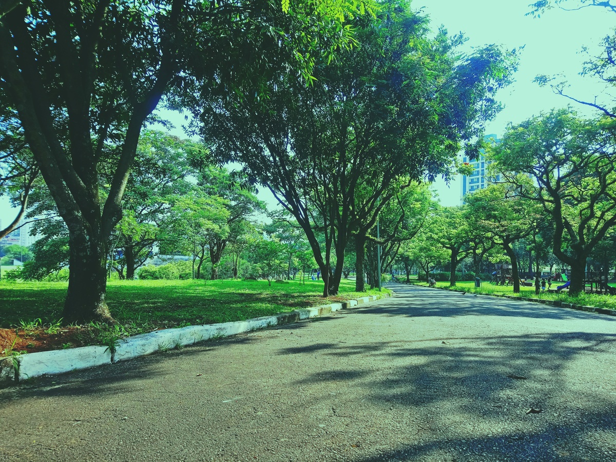PARQUE CERET [JARDIM ANÁLIA FRANCO