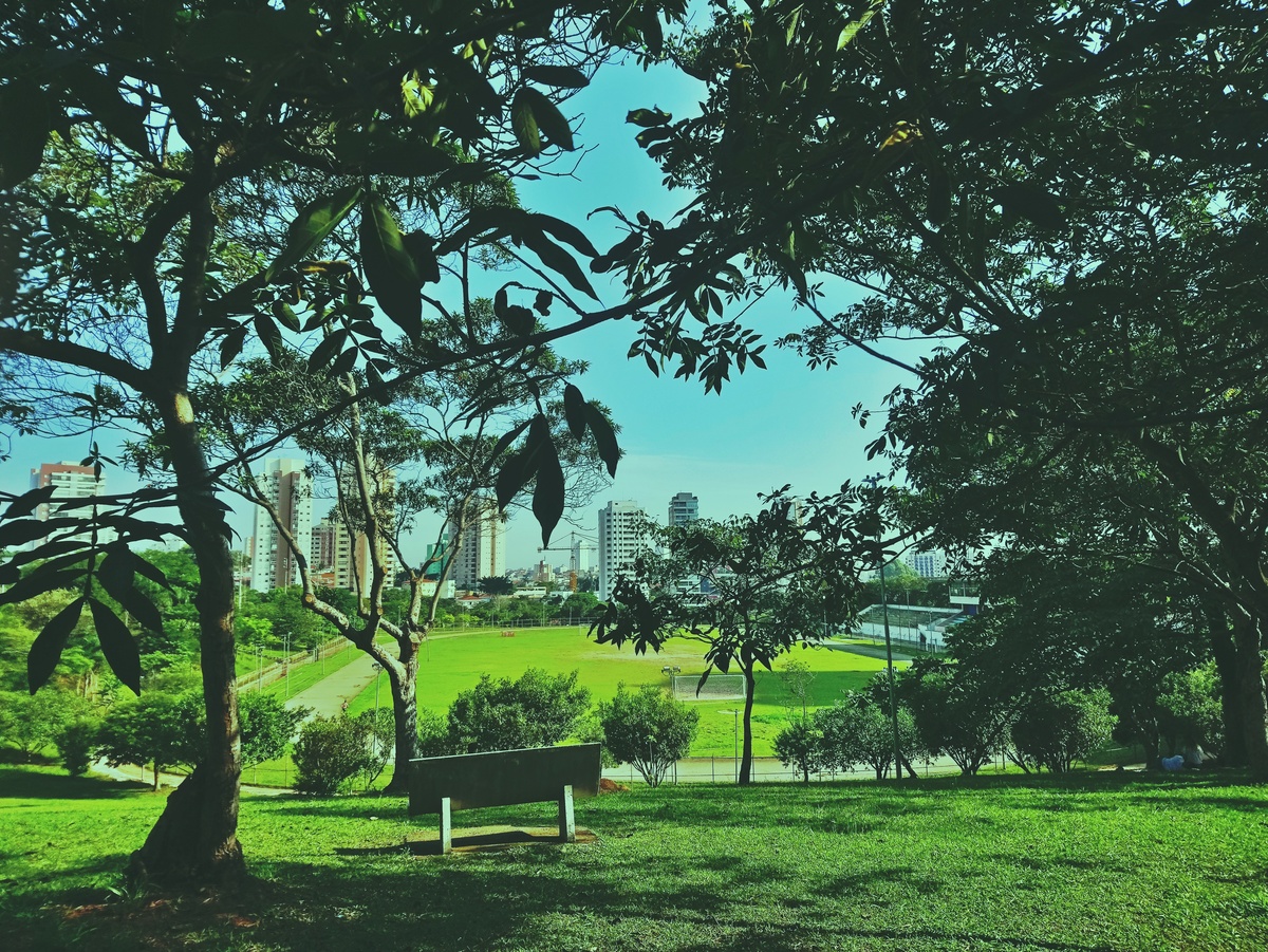 PARQUE CERET [JARDIM ANÁLIA FRANCO
