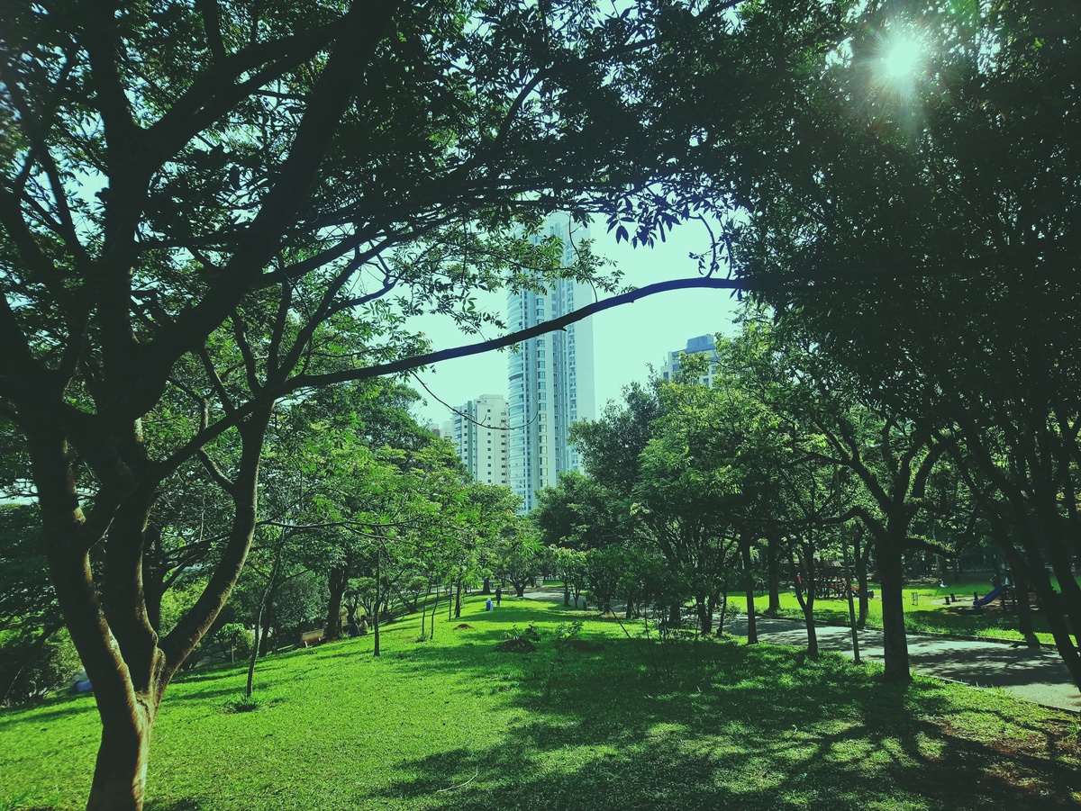 PARQUE CERET [JARDIM ANÁLIA FRANCO