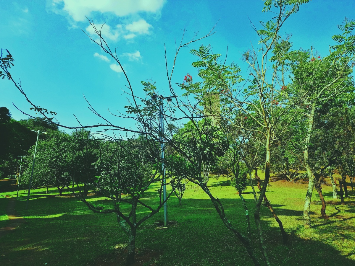 PARQUE CERET [JARDIM ANÁLIA FRANCO
